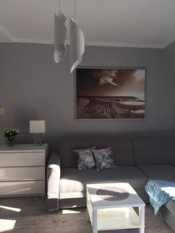 Фотографии Улучшенные апартаменты Апартаменты Apartamenty Silence Silver Baltic г. Поберово (Польша) №69 Фото номера Улучшенные апартаменты Апартаменты Apartamenty Silence Silver Baltic г. Поберово 69